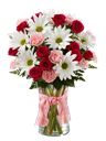 Bouquet di margherite bianche