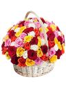 Composizione compatto di rose colorate