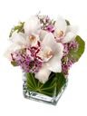 Centrotavola con fiori di orchidea bianca
