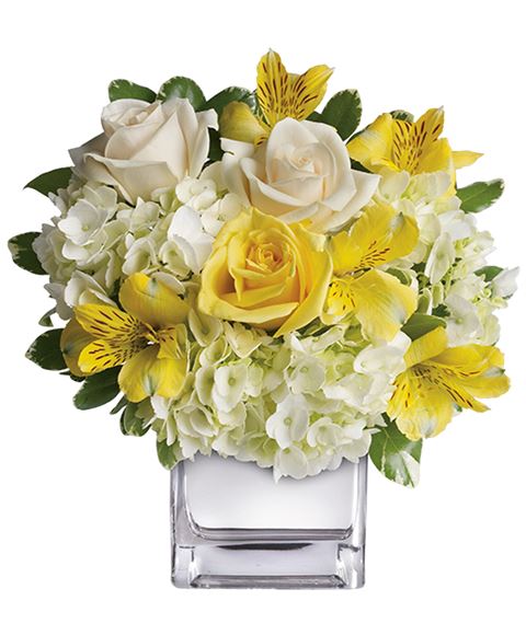 Invia Online Un Fiori Bianchi E Gialli Verde Idea Consegna A Domicilio In Tutta Novara