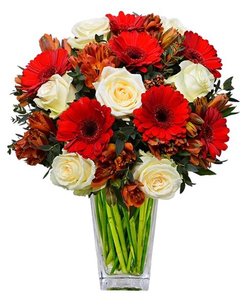 Bouquet di