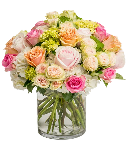 Bouquet di rose